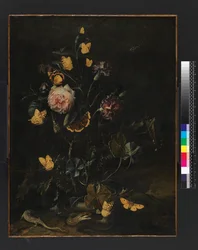 Flores, insetos e répteis, 1673
