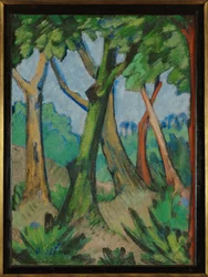 Floresta ...