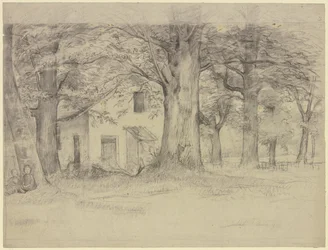 Casa por detrás das árvores