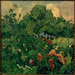 Meu jardim
