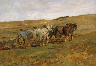 Lavrador