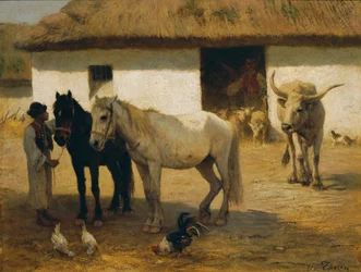 Fazenda húngara