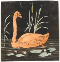 Um cisne sobre fundo preto. Esboço decorativo.