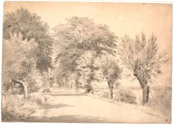 A estrada rural pela mansão Vognserup.