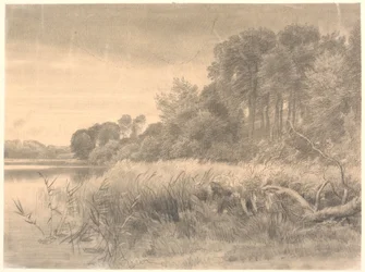 Paisagem com um lago da floresta. Lago Gurre.