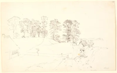 Paisagem com árvores.