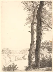 Paisagem de Skarritsø com duas árvores altas, faias, em primeiro plano.