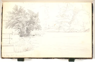 Floresta por um lago