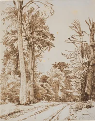 Estrada da floresta. Iselinge