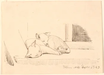 Dois gatos dormindo.