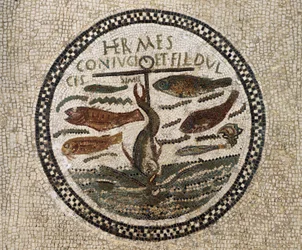 Mosaico com âncora rodeada de peixes, símbolo de Cristo e dos seus seguidores, catacumbas de Sousse, Tunísia, período paleocristão, século IV
