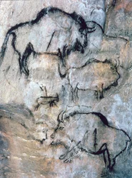 Bisão ferido, Magdaleniano (pintura rupestre)
