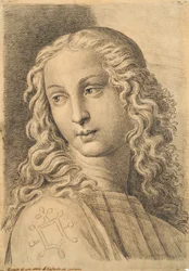 Cabeça de uma mulher, de 42 Estudos de Cabeças após Raphael