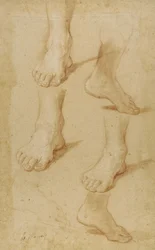 Desenho