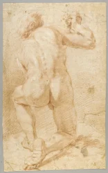 Desenho