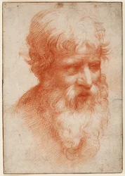 Cabeça de um homem barbudo, olhando para a direita, c.1523-25 (giz vermelho sobre papel)