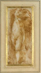 Um putto virado para a esquerda (caneta e tinta castanha sobre papel)