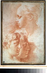 "Etude de tetes" (Estudo das cabeças). Rapariga e rapazes enfrentam o perfil. Desenho de Girolamo Francesco Maria Mazzola ou Mazzuoli dit il Parmigianino (O Parmesão