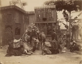 Salão dos Camelos