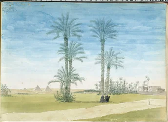 Egito: “” Pirâmides de Gyze (Guizeh, Guiseh, Giza) Desenho de Pascal Coste (1787-1879) Museu de Arqueologia do Mediterrâneo, Marselha