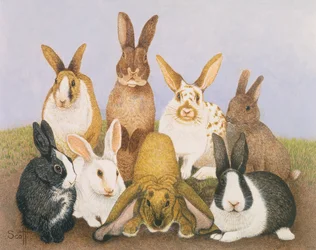 Coelhos sortudos