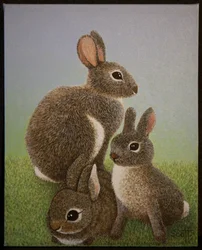 Família Rabbit, 2016
