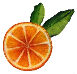 Fruta, 2021 (Acrílico sobre papel)
