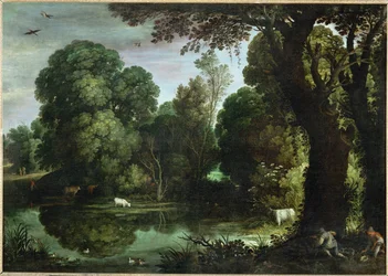 Chasse aux canards - Caça aos patos ...