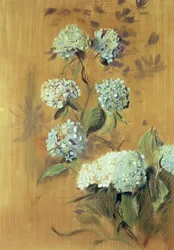 Hortênsias (pastel sobre papel)