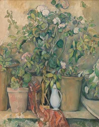 Vasos e flores de terracota