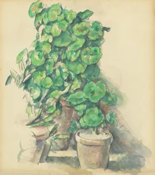 Gerânios, 18881890.