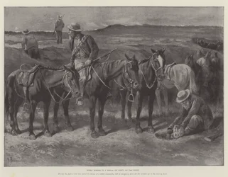 Cavalos Boers &39;em um Donga, ou Fissura, no Veldt