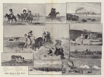 Caça ao Búfalo na América do Norte