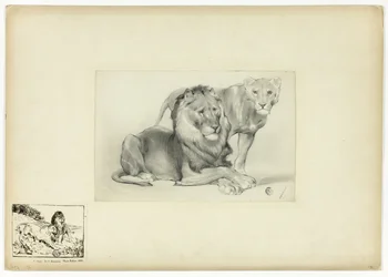 Leão e leoa