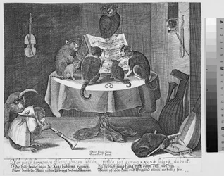 Concerto de corujas, gatos e macacos