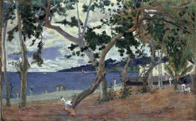 À beira-mar, Martinica par Gauguin, Paul Eugene Henri (1848-1903). Óleo sobre tela, tamanho : 54x90