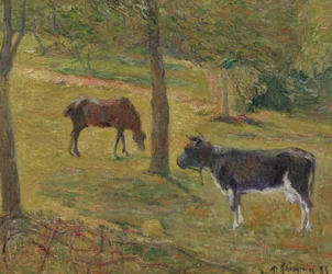 Francês: Vache et cheval dans un pré Vaca e cavalo num prado