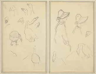 Gansos; Girls in Bonnets, Geese [reto]