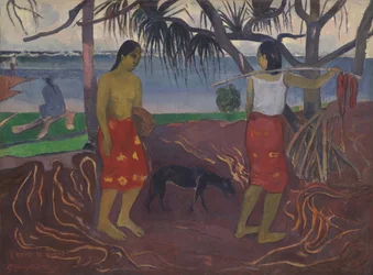 Sob o Pandanus