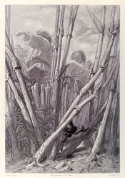 Gulliver vê trabalhadores agrícolas tão altos quanto campanários e se esconde em um campo de trigo, da edição francesa da Gullivers Travels por Jonathan Swift