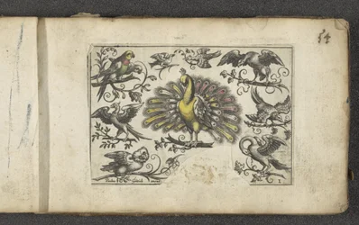 Pavão e outras aves, Aves (título da série)