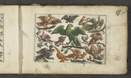 Ave de rapina, 11 outras aves e um morcego
Pássaros (título da série)