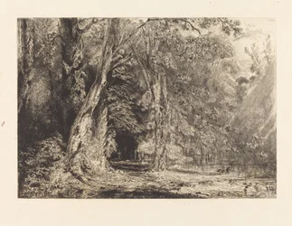 Inundações na floresta da Ile Séguin
