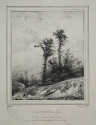 Paisagens: jovens olmos, 1829.