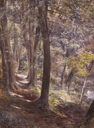 Uma Glade da floresta