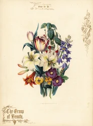 Buquê de lírios, tulipa, fúcsia, lírio tigre.