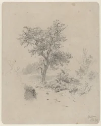 Paisagem com carvalho