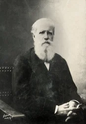 Retrato de Dom Pedro , Imperador do Brasil (foto)