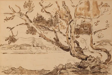Paisagem