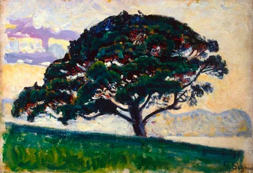 Grande pinho, Saint-Tropez, 1892-1893.